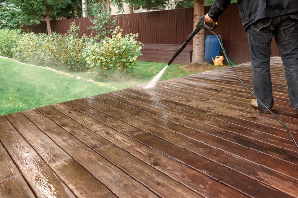 Best Roof Washing  in Bay Hill, FL